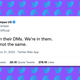 A screenshot of Tampax's tweet against a purple background full of blue Twitter birds.